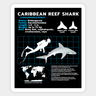 Caribbean Reef Shark Fact sheet Magnet